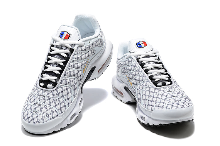 Nike air max plus TN “France”