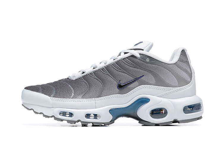 Nike air max plus TN grey blue