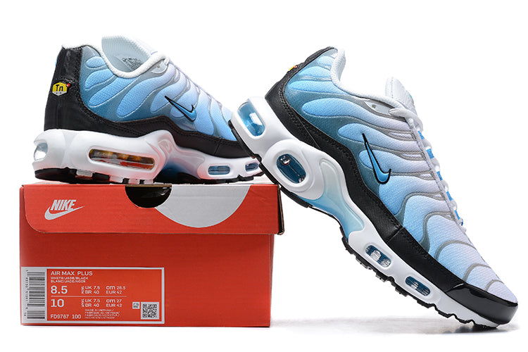 Nike air max plus TN “Ice”