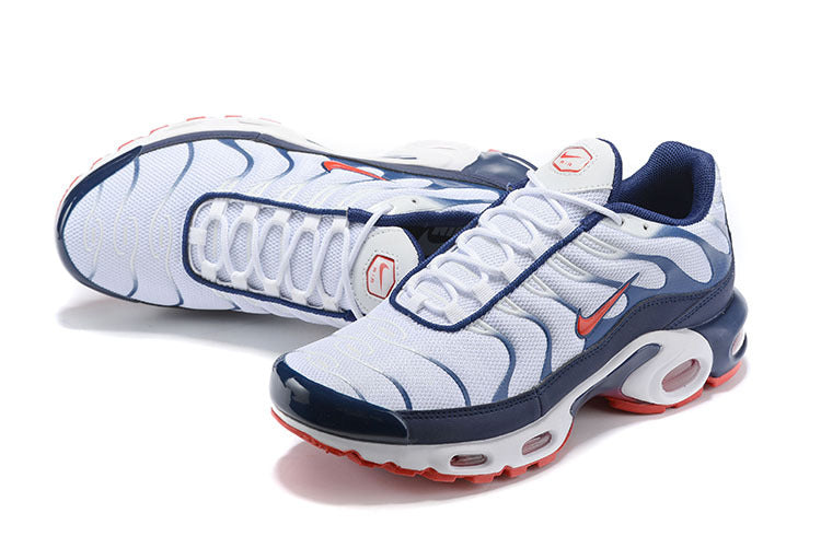 Nike air max plus TN QS 4