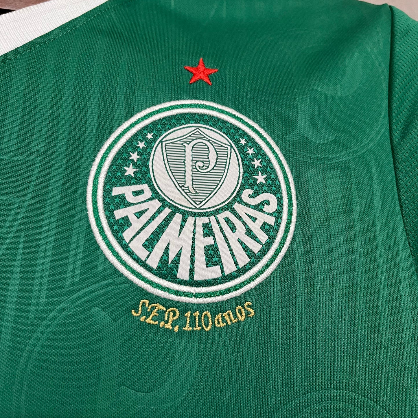 Palmeiras feminina 24/25