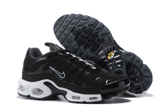 Nike air max plus TN double black