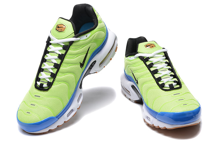 Nike air max plus TN “M. Frank Rudy”