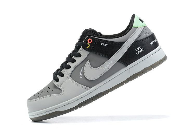 Nike SB dunk low camcorder