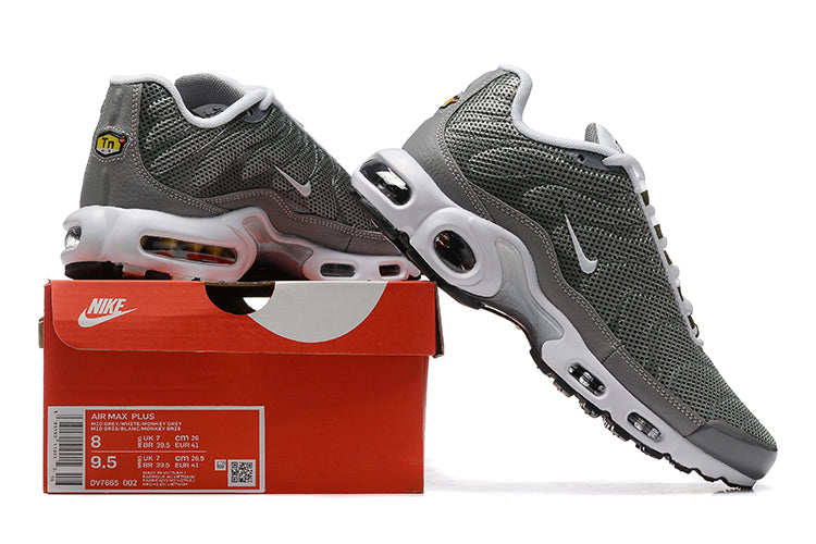 Nike air max plus TN “Flat Pewter”