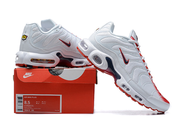 Nike air max plus TN white red fade