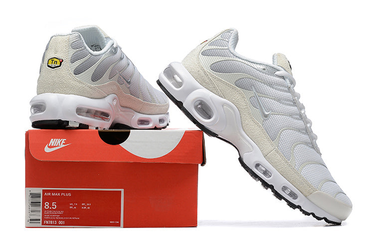 Nike air max plus TN “Pure Platinum”