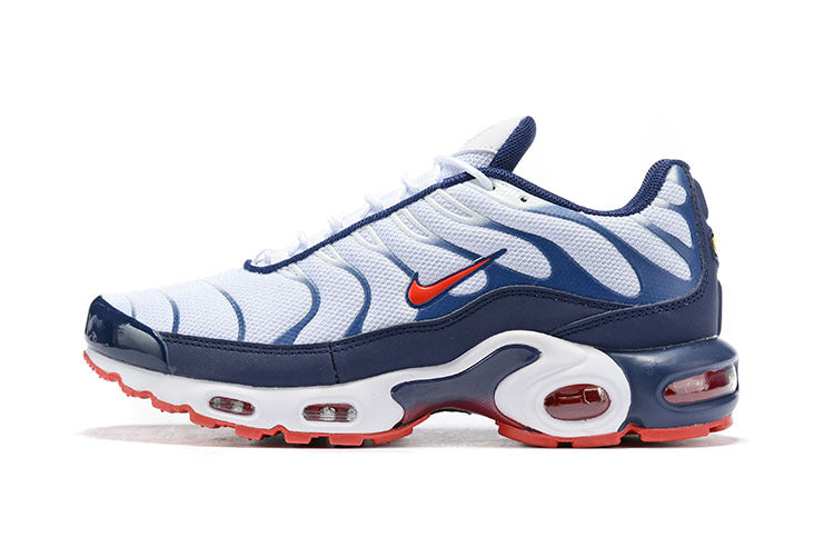 Nike air max plus TN QS 4