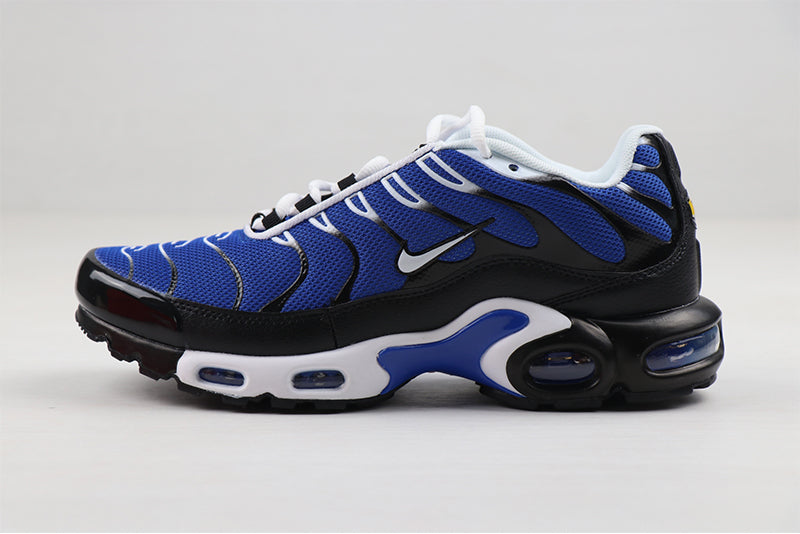 Nike air max plus TN dark blue