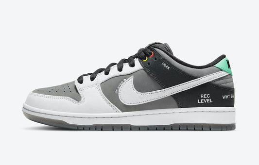 Nike SB dunk low camcorder