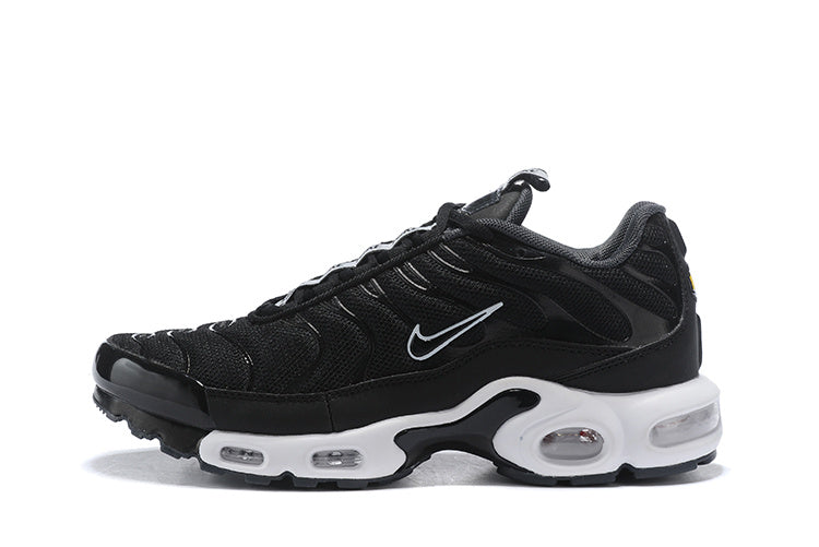 Nike air max plus TN double black