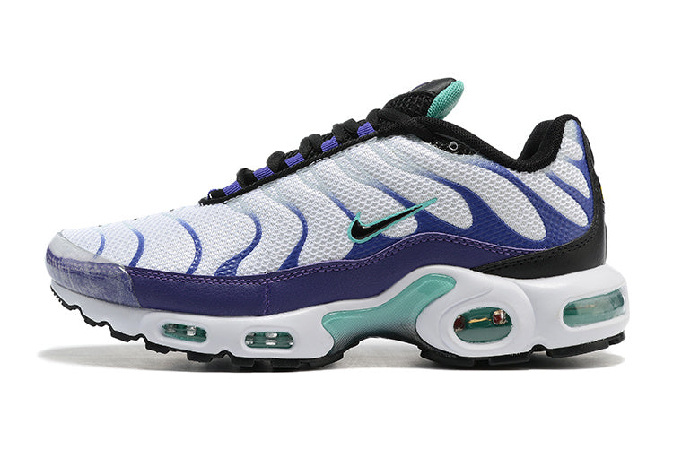 Nike air max plus TN “Grape”