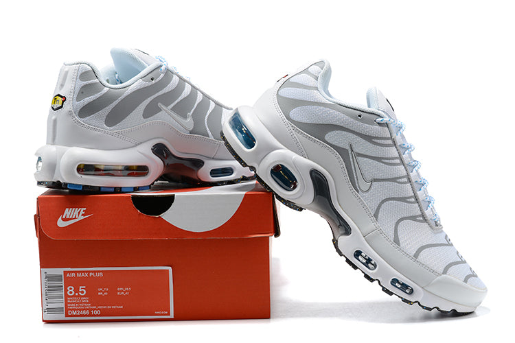 Nike air max plus TN tuned air