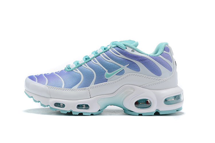 Nike air max plus TN purple blue