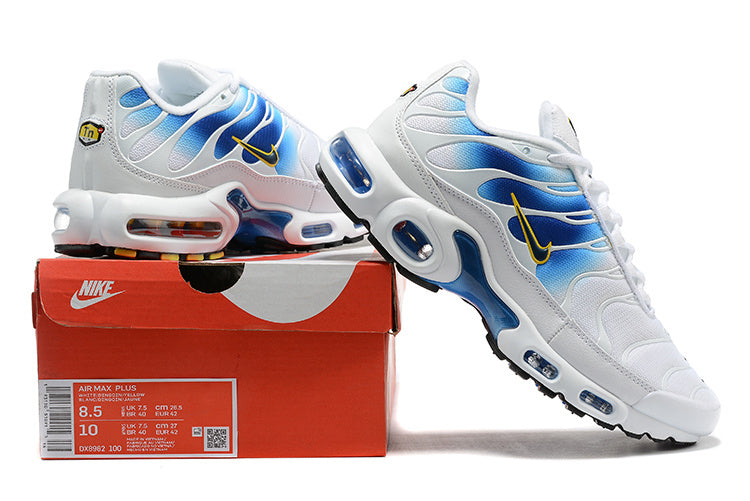 Nike air max plus TN spray paint