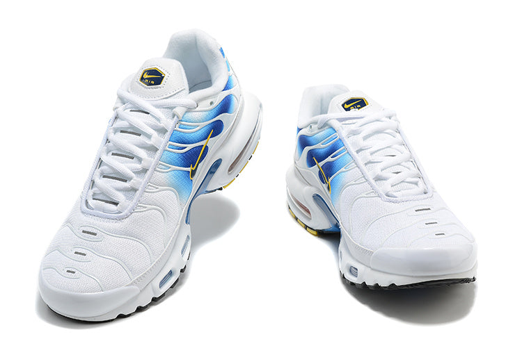 Nike air max plus TN spray paint