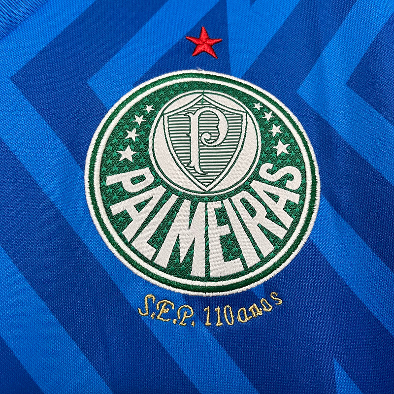 Palmeiras goleiro 24/25