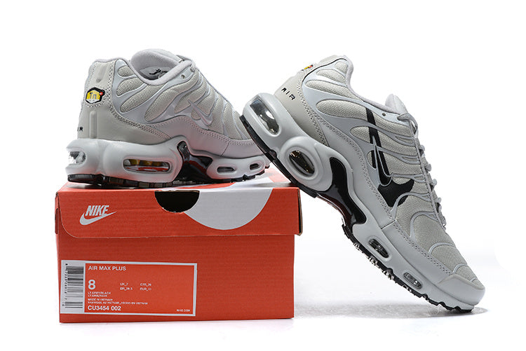 Nike air max plus TN double grey