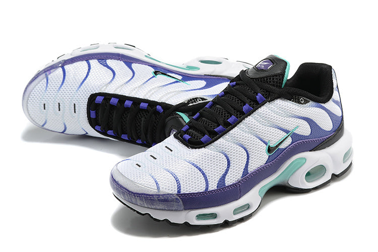 Nike air max plus TN “Grape”