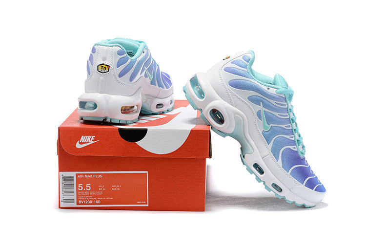 Nike air max plus TN purple blue