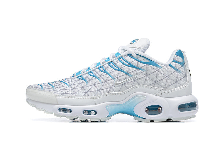 Nike air max plus TN “Marseille”