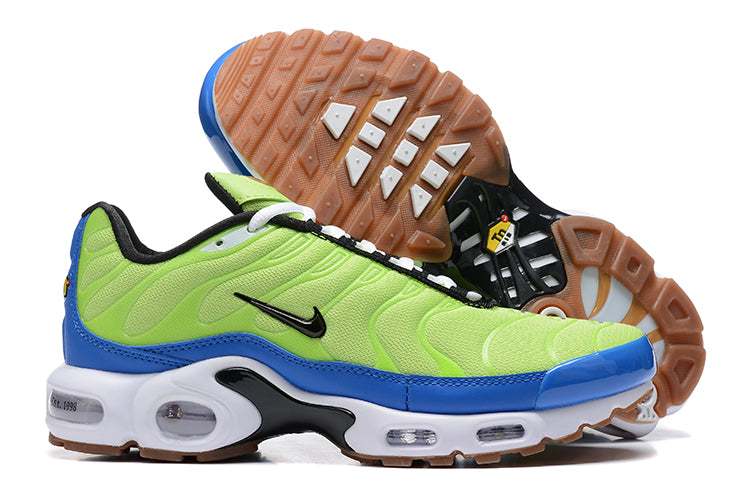 Nike air max plus TN “M. Frank Rudy”