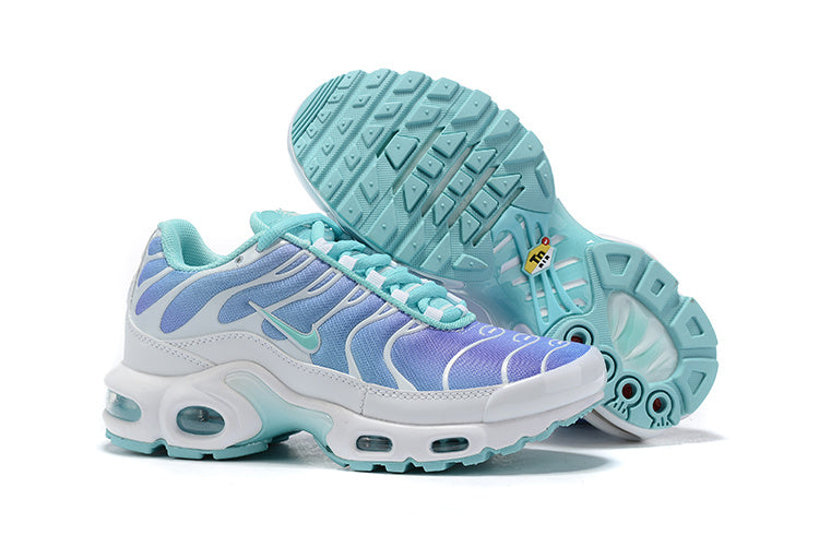 Nike air max plus TN purple blue