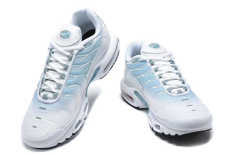 Nike air max plus TN reverse ice