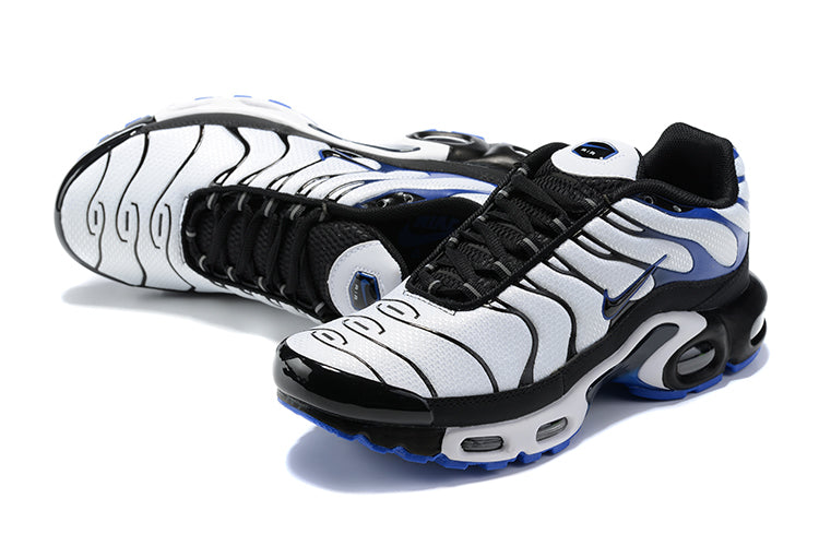 Nike air max plus TN “Persian Violet”